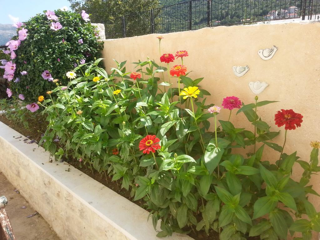 Apartment Mare S Mora Mokošica Εξωτερικό φωτογραφία